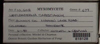Image Associated With the Occurence